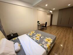 Balestier Road (D12), Condominium #582444941